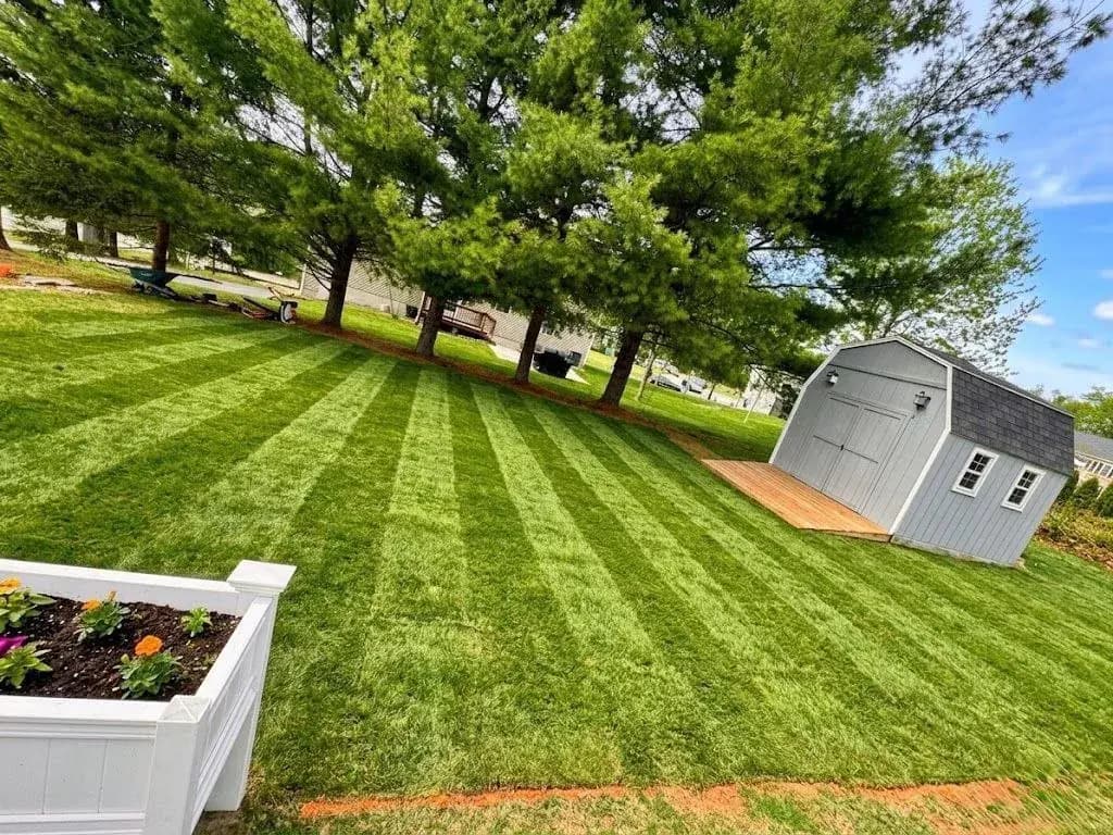 Completed sod installation on a residential lawn